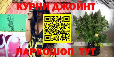 трава Будённовск